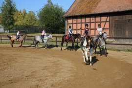 Palace Manor қонақ үй мейрамхана орналастыру пәтерлер нөмірлері Польша Мазуры