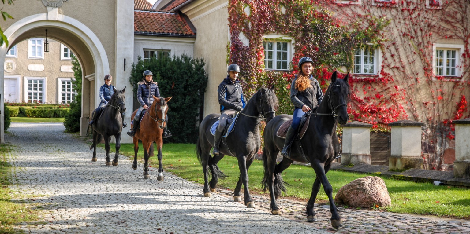 Palace Manor қонақ үй мейрамхана орналастыру пәтерлер нөмірлері Польша Мазуры